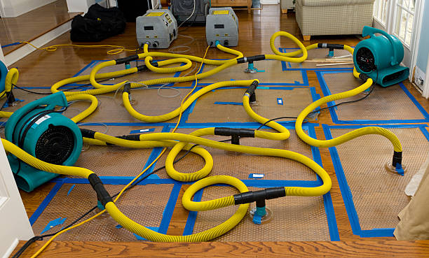 Professional Structural Drying And Dehumidification technician working in Black Diamond, FL